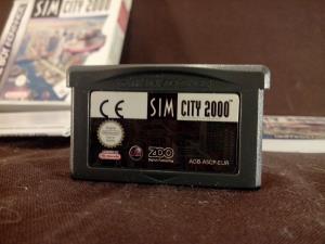 Sim City 2000 (7)